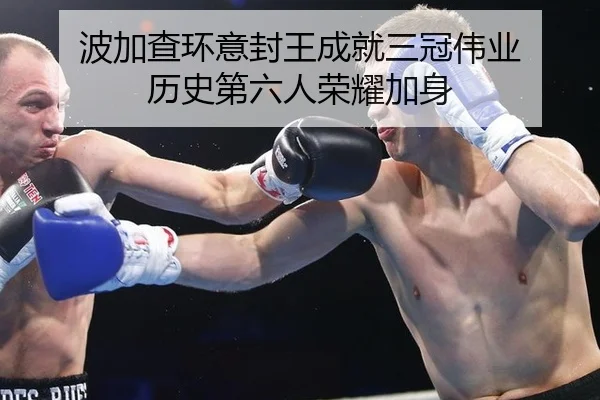 bo-jia-cha-huan-yi-feng-wang-cheng-jiu-san-guan-wei-ye-li-shi-di-liu-ren-rong-yao-jia-shen-3-410.jpg
